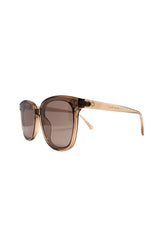 Bruna Wayfarer-solglasögon med genomskinlig plastbåge och aluminiumgångjärn, stilren design.