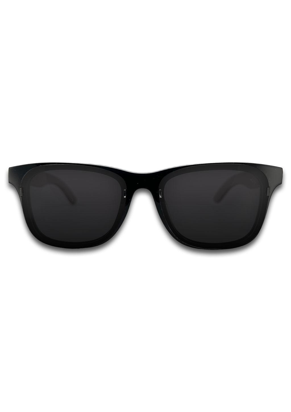 Eyewood ReInvented Acetate &amp; Wood - Wayfarers